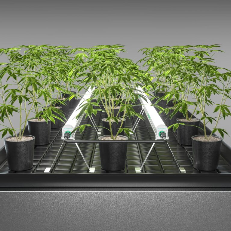Flexstar under canopy lights for indoor cannabis growth