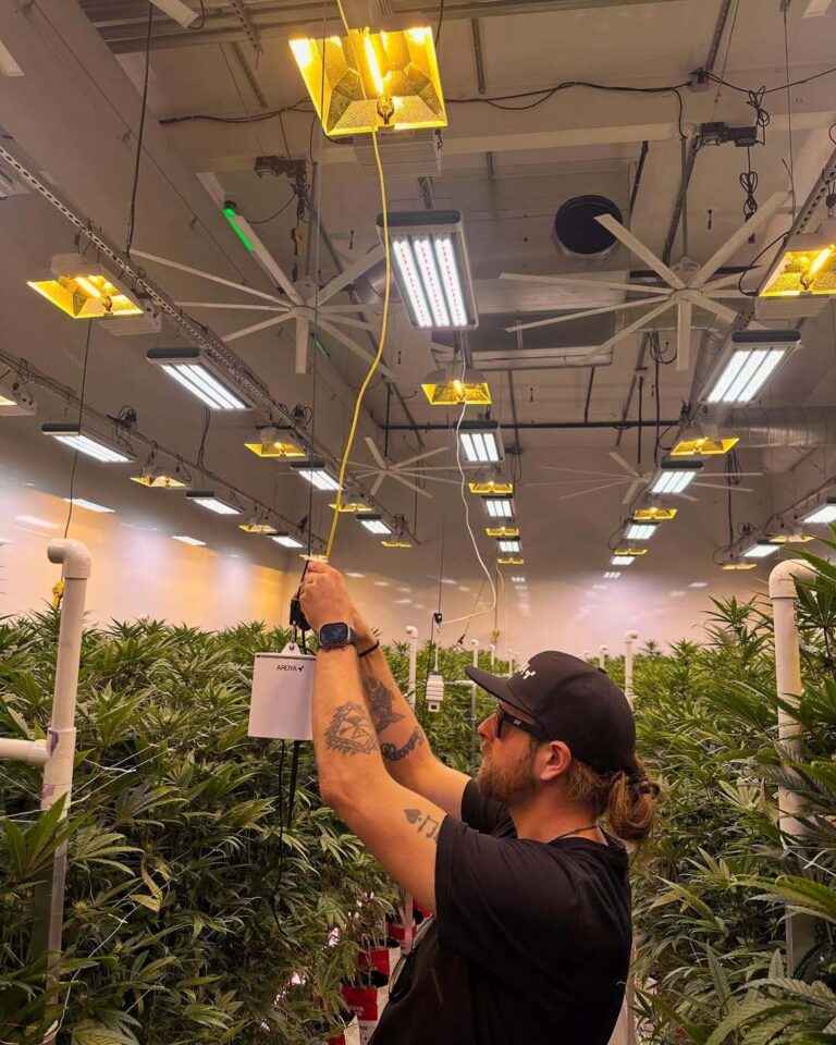 the hybrid lighting system