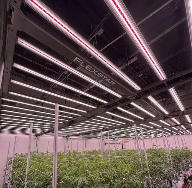 tunable spectrum LED grow lights